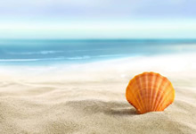 马德里豪门战平瓦伦西亚，榜首争夺激烈