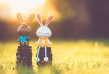 鹈鹕全队齐心协力，客场击败对手