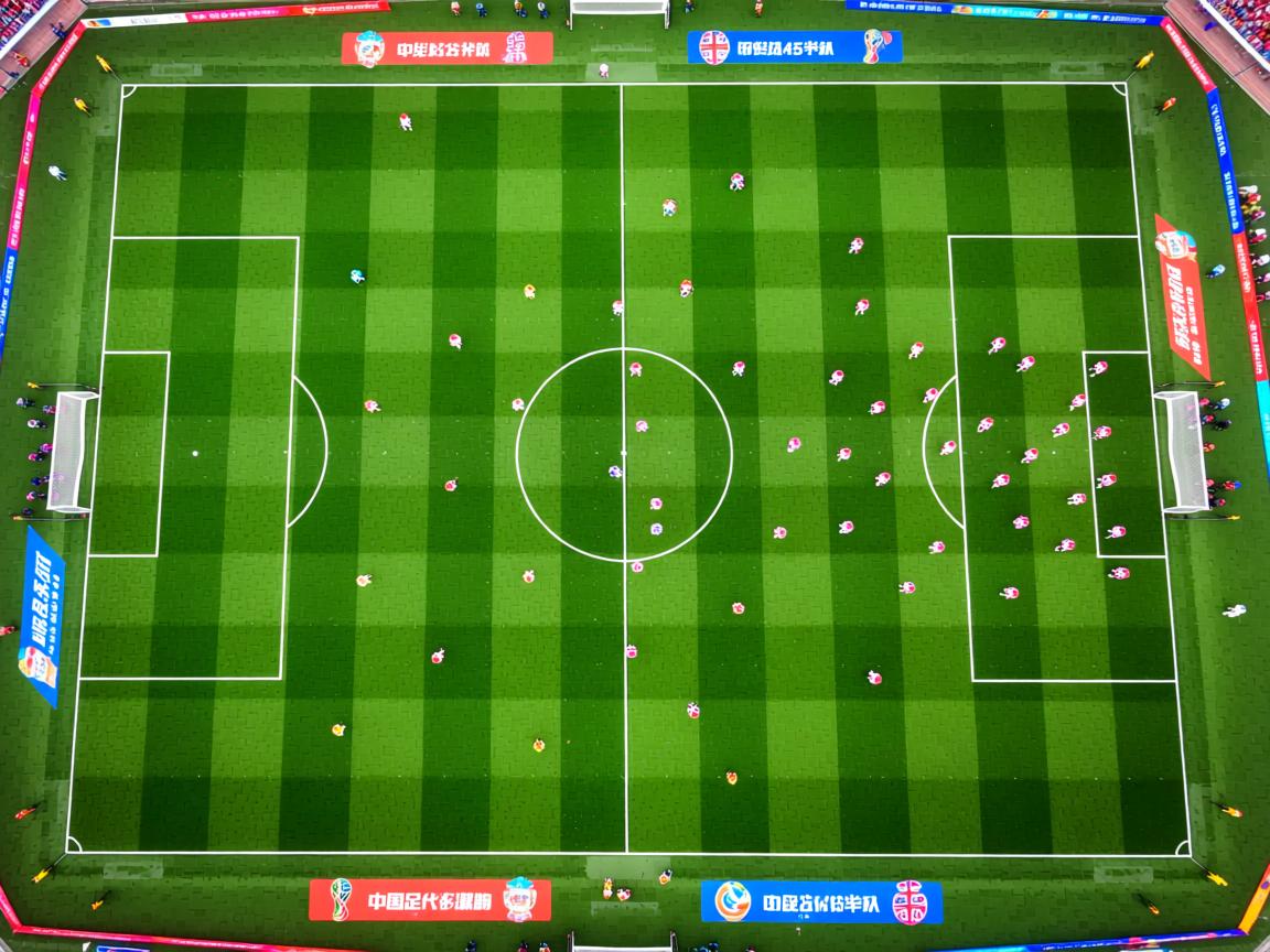 开云体育官网登入-出发反应时间数据对比分析,出发和返回时间怎么表达 第2张